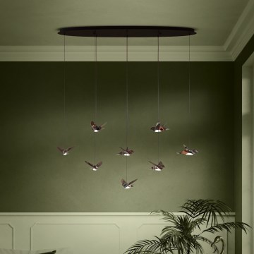 Eglo - LED Reguliuojamas pakabinamas sietynas 8xLED/4,2W/230V 3000K juoda