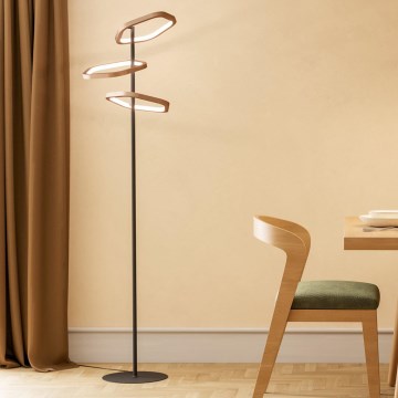 Eglo - LED reguliuojamas toršeras LED/20W/230V 2200-6500K žalvaris