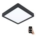 Eglo - LED reguliuojamas vonios kambario lubų šviestuvas LED/16,5W/230V IP44 ZigBee