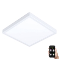 Eglo - LED Reguliuojamas vonios šviestuvas ARGOLIS-Z LED/19,5W/230V IP44 baltas