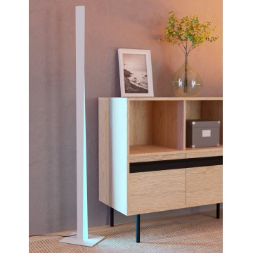 Eglo - LED RGBW dimeriuojamas toršeras LED/10,5W/230V + LED/15,2W pilkas