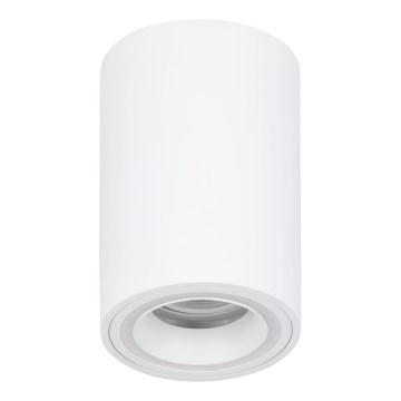 Eglo - LED RGBW Pritemdomi akcentiniai šviestuvai LED/4,9W/230V 2700-6500K balta