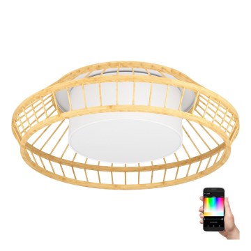 Eglo - LED RGBW Reguliuojamas lubinis šviestuvas LED/22W/230V 2700-6500K