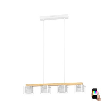 Eglo - LED RGBW Reguliuojamas pakabinamas sietynas 4xLED/3,7W/230V 2700-6500K