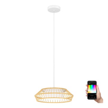 Eglo - LED RGBW Reguliuojamas pakabinamas sietynas LED/22W/230V 2700-6500K