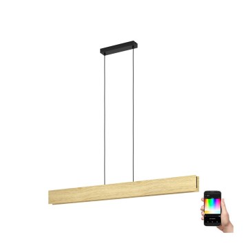 Eglo - LED RGBW Reguliuojamas pakabinamas sietynas LED/35W/230V 2700-6500K