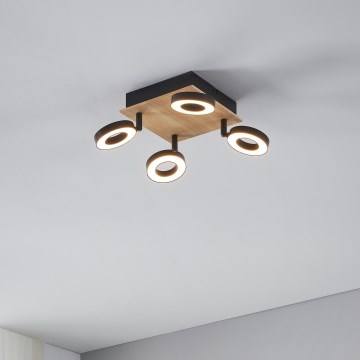 Eglo - LED taškinis šviestuvas 4xLED/4,2W/230V juoda/ruda