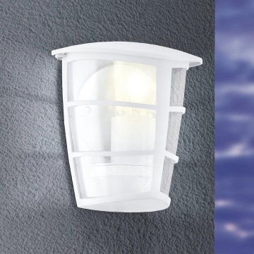 Eglo - Sieninis LED lauko šviestuvas 1xE27/8,5W/230V IP44