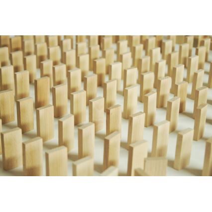 EkoToys - Mediniai domino 830 vnt. bukas