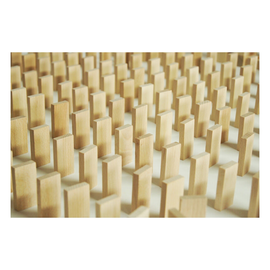EkoToys - Mediniai domino 830 vnt. bukas