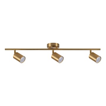 Elegantiškas auksinis taškinis šviestuvas GOLDIE 3xGU10/10W/230V