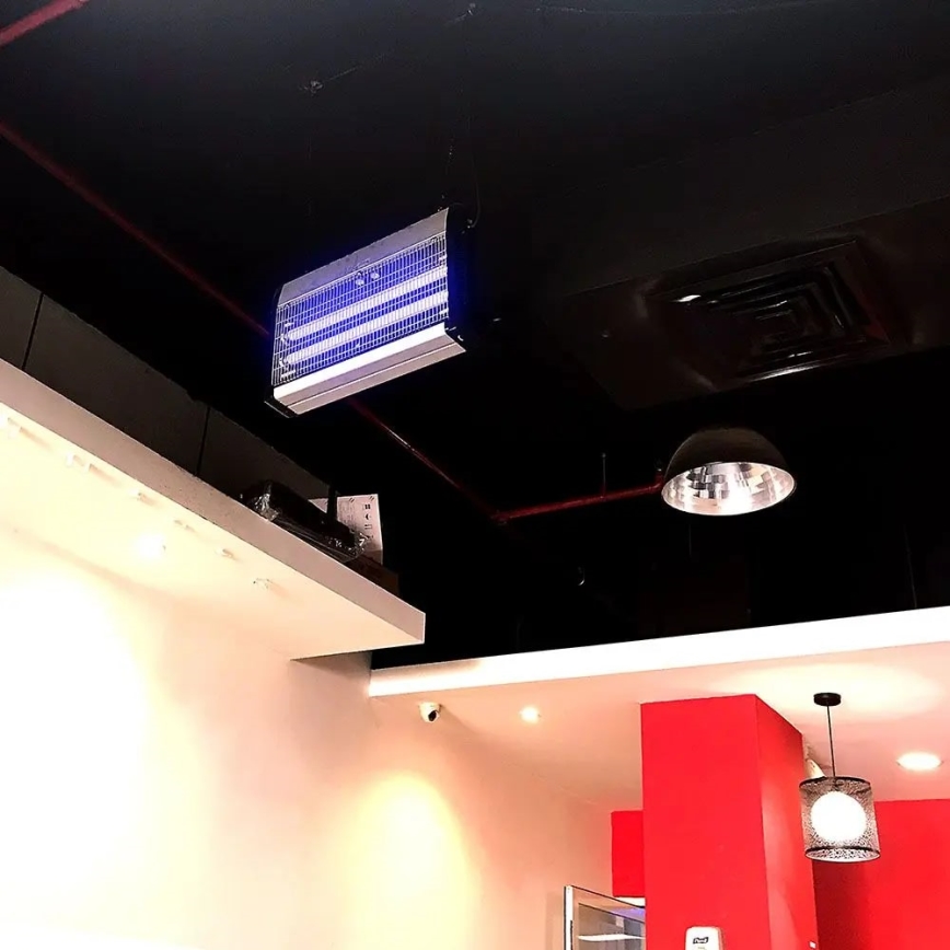 Elektrinė vabzdžių gaudyklė 2x10W/230V 80 m²