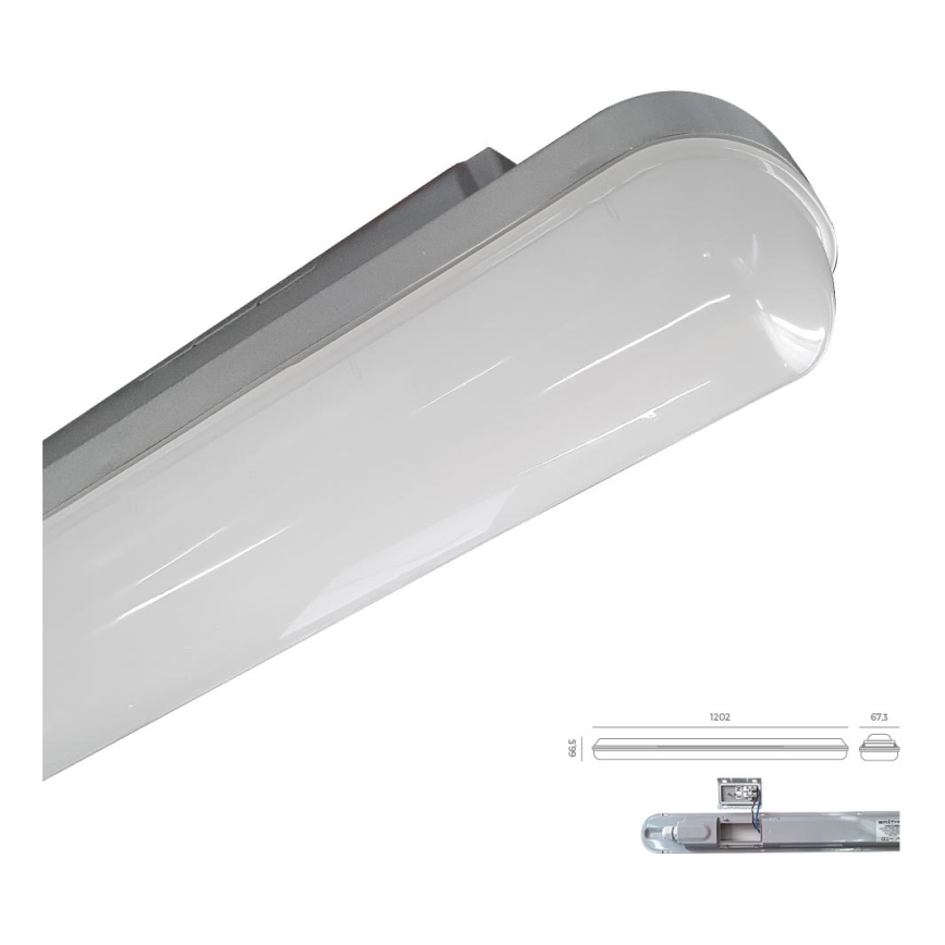 Emithor 31602 - LED Techninis šviestuvas ELMINA LED/36W/230V IP65