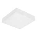 Emithor 63215 - LED lubinis šviestuvas SURFACE LED/10W/230V