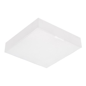Emithor 63217 - LED lubinis šviestuvas SURFACE LED/20W/230V