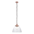 Endon 106895 - Kabantis šviestuvas su grandine HANSEN 1xE27/10W/230V varinis