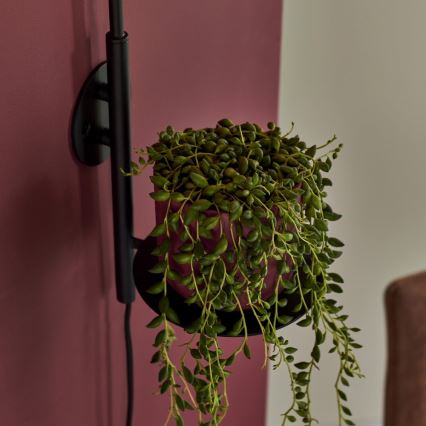 Endon 92726 - Sieninis šviestuvas HALO 1xG9/3W/230V juodas