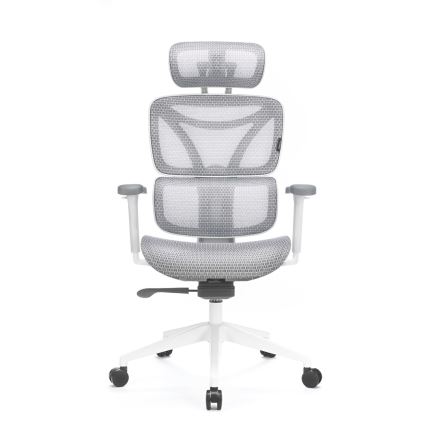 Ergonomiška biuro kėdė LEVANO pilka/balta/juoda