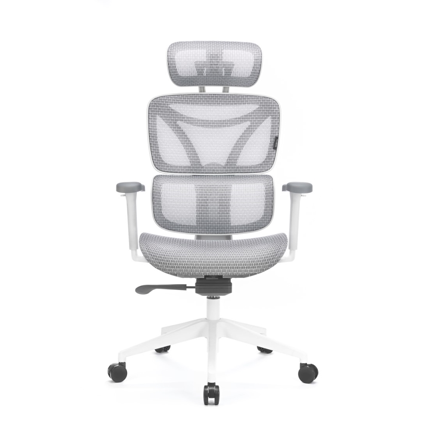Ergonomiška biuro kėdė LEVANO pilka/balta/juoda