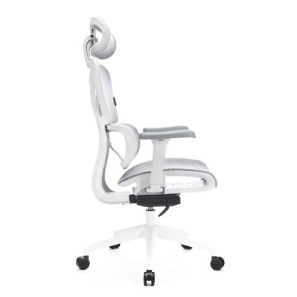 Ergonomiška biuro kėdė LEVANO pilka/balta/juoda