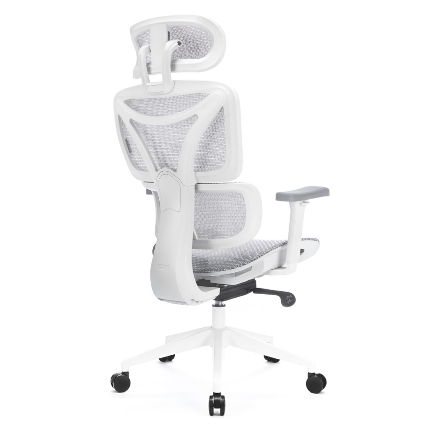 Ergonomiška biuro kėdė LEVANO pilka/balta/juoda