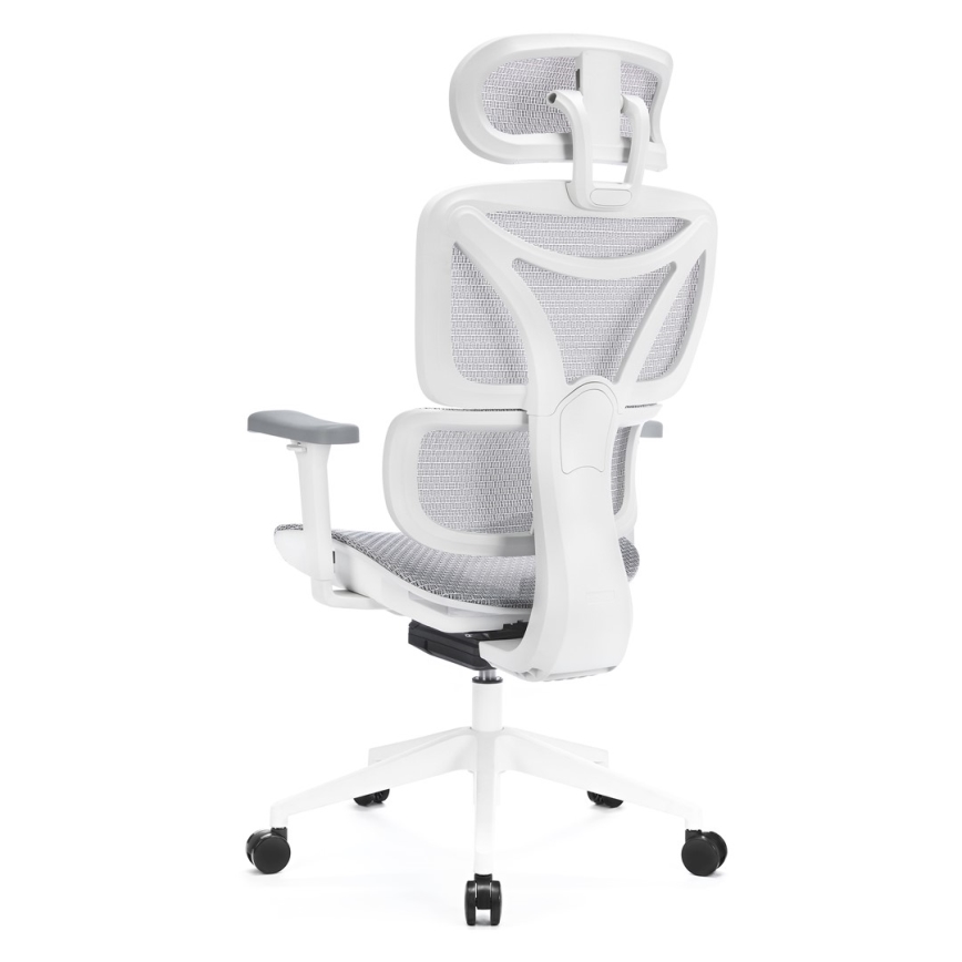 Ergonomiška biuro kėdė LEVANO pilka/balta/juoda