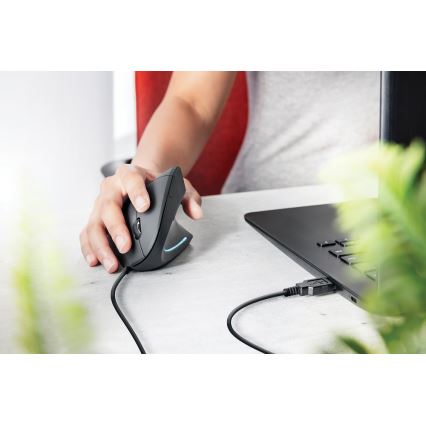 Ergonomiška pelė 1000/1600 DPI 6 mygtukai