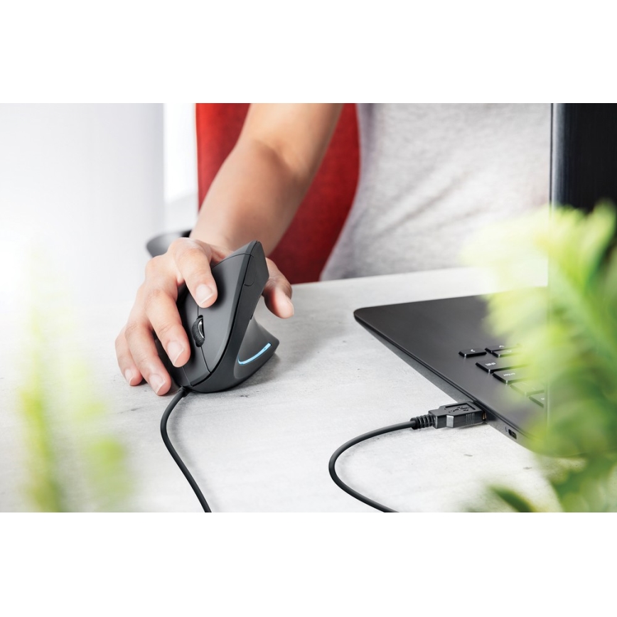 Ergonomiška pelė 1000/1600 DPI 6 mygtukai