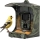 Evolveo - StrongVision BirdFeeder - išmanioji lesyklėlė paukščiams su kamera