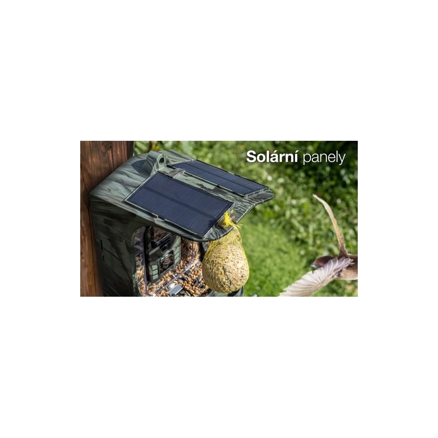 Evolveo - StrongVision BirdFeeder - išmanioji lesyklėlė paukščiams su kamera