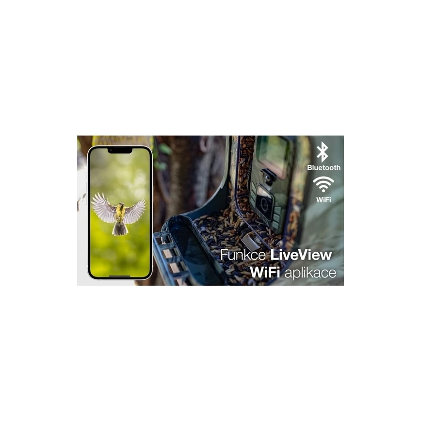 Evolveo - StrongVision BirdFeeder - išmanioji lesyklėlė paukščiams su kamera