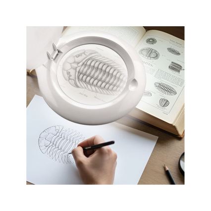 Extol - reguliuojama LED stalinė lempa su lupa LED/10W/230V balta