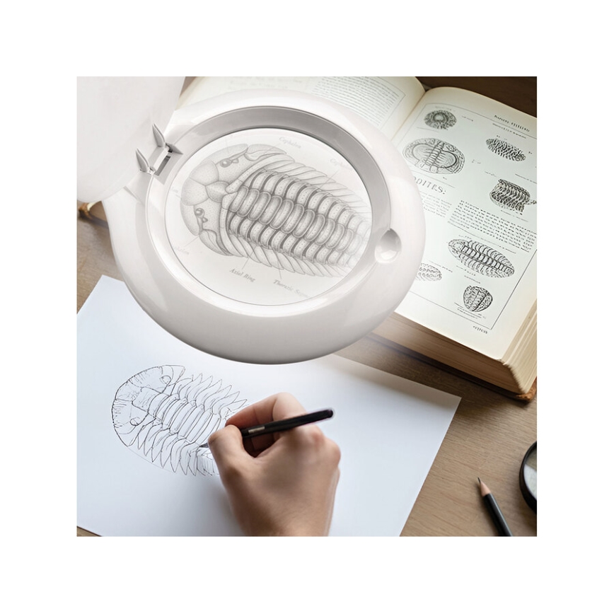 Extol - reguliuojama LED stalinė lempa su lupa LED/10W/230V balta