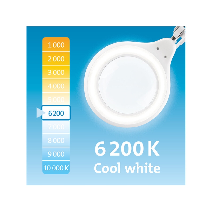 Extol - reguliuojama LED stalinė lempa su lupa LED/10W/230V balta