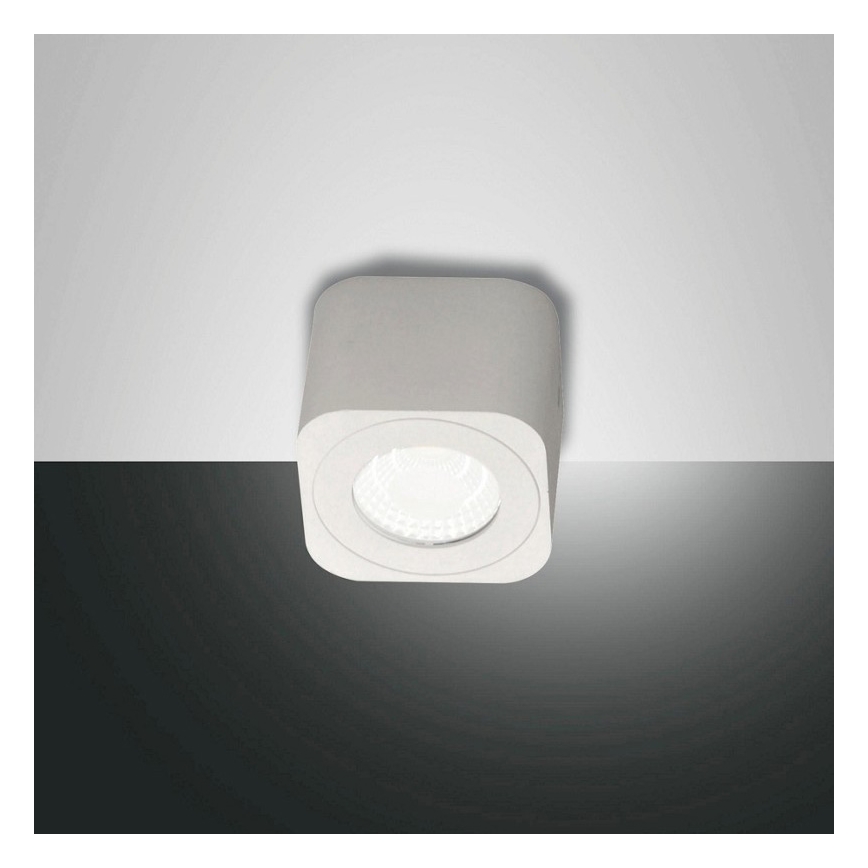Fabas 3429-71-102 - LED akcentinis šviestuvas PALMI LED/6W/230V