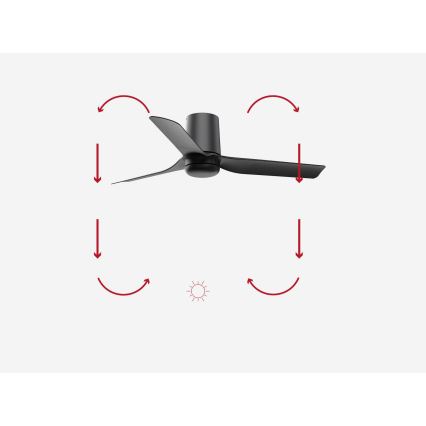 FARO 33834-Lubinis ventiliatorius MINI PUNT TUB S juoda diametras 90 cm + nuotolinio valdymo pultas