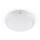 FARO 70722 - Lauko lubinis šviestuvas DAKRON 1xE27/40W/230V IP65