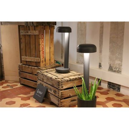 FARO 71206 - LED lauko šviestuvas GROW LED/9W/230V IP65