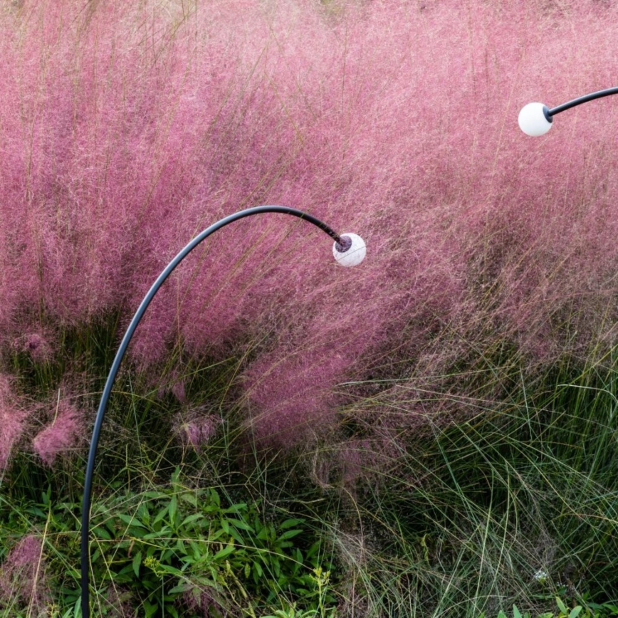 FARO 75561 - LED lauko šviestuvas CUCA LED/3W/24V 65 cm IP65 antracitas