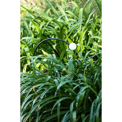 FARO 75561 - LED lauko šviestuvas CUCA LED/3W/24V 65 cm IP65 antracitas