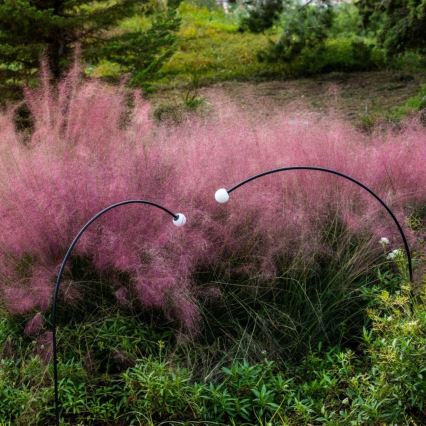 FARO 75561 - LED lauko šviestuvas CUCA LED/3W/24V 65 cm IP65 antracitas