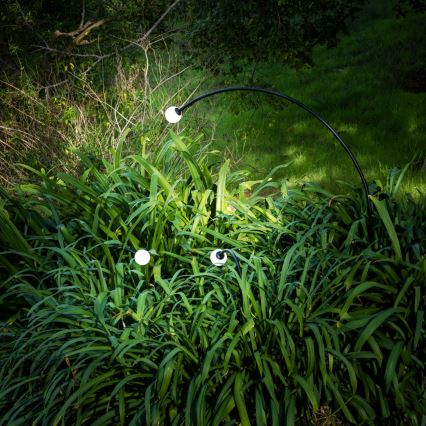 FARO 75561 - LED lauko šviestuvas CUCA LED/3W/24V 65 cm IP65 antracitas