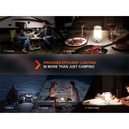 Fenix CL26RPROCAM - LED Pritemdomas nešiojamas įkraunamas lempa LED/USB IP66 650 lm 408 h 5000 mAh pilka