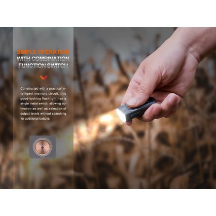 Fenix E03RV20GREY - LED pakraunamas žibintuvėlis LED/USB IP66 500 blizgus 30 h 400 mAh