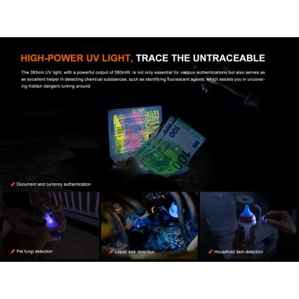 Fenix E06RGRY - LED Pritemdomas įkraunamas žibintuvėlis UV LED/USB IP66 700 blizgus 60 h pilka
