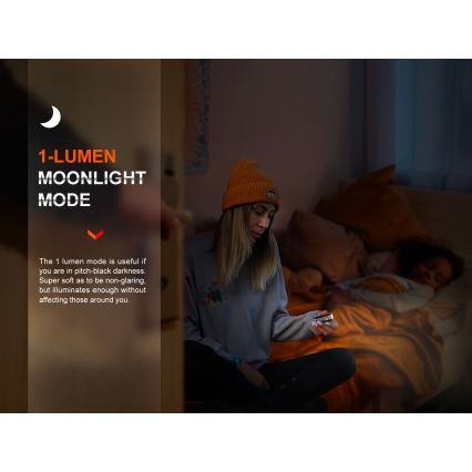 Fenix E18RV20800 - LED su reguliuojamu ryškumu įkraunamas žibintuvėlis LED/USB/1xCR123A 800 mAh IP68 1200 lm 200 val. juodas