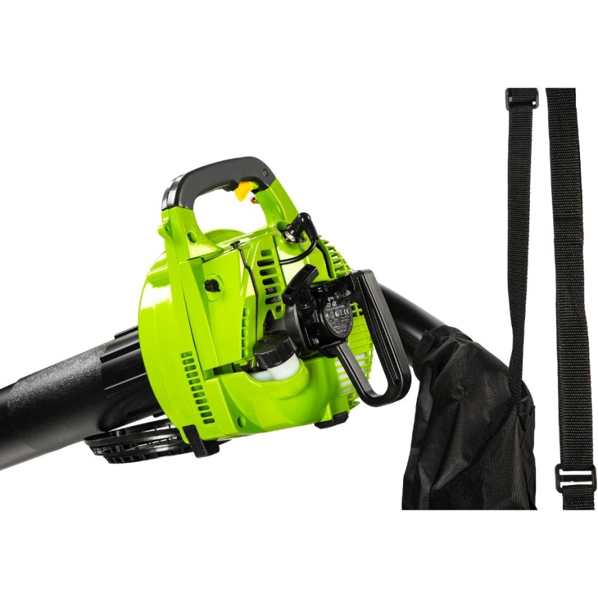 Fieldmann - Benzininis sodo dulkių siurblys 800W