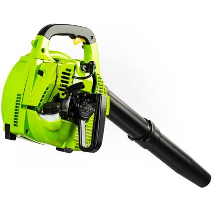 Fieldmann - Benzininis sodo dulkių siurblys 800W