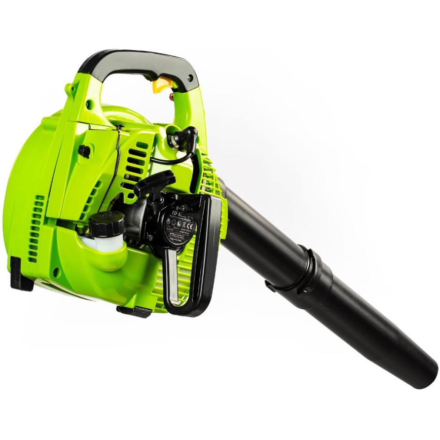 Fieldmann - Benzininis sodo dulkių siurblys 800W