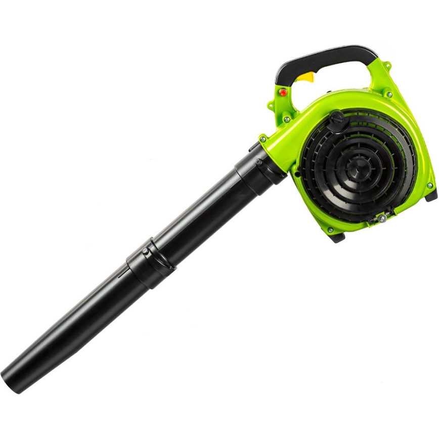 Fieldmann - Benzininis sodo dulkių siurblys 800W